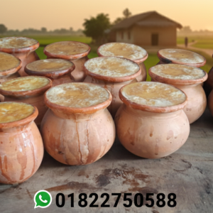 মিষ্টি দই ৫ কেজি